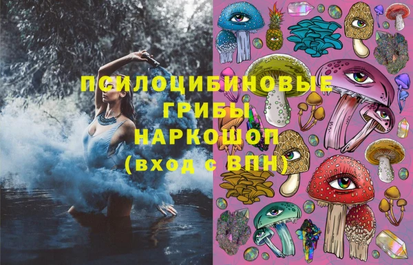 ALPHA PVP Богородицк