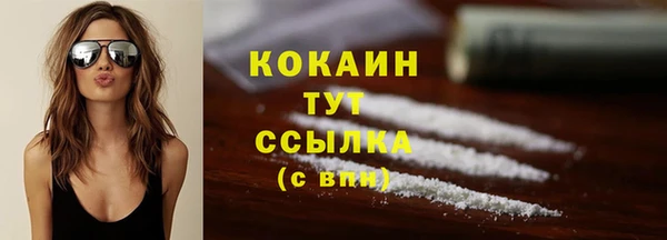 ALPHA PVP Богородицк