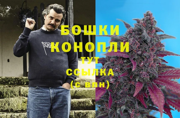 скорость Богданович