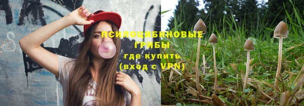 скорость Богданович
