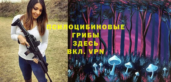 ALPHA PVP Богородицк