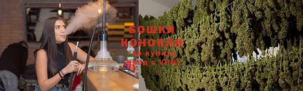 ALPHA PVP Богородицк