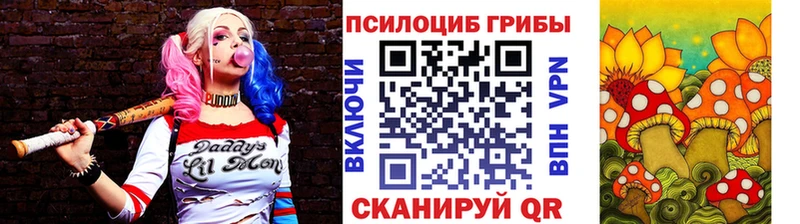 Купить где  Горняк  Псилоцибиновые грибы ЛСД 